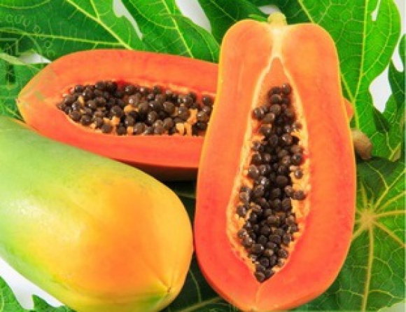 ĐU ĐỦ - MÓN ĂN BỔ DƯỠNG, ĐẸP NGƯỜI, MỊN DA